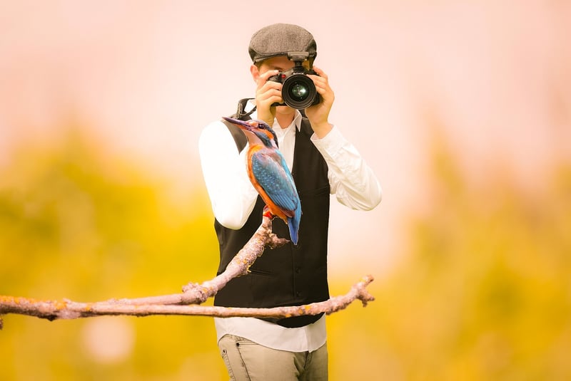 Bird Watching Trips